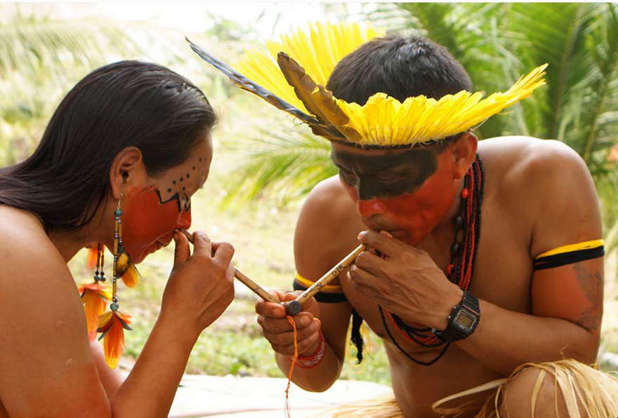 Мапачо – священное шаманское растение